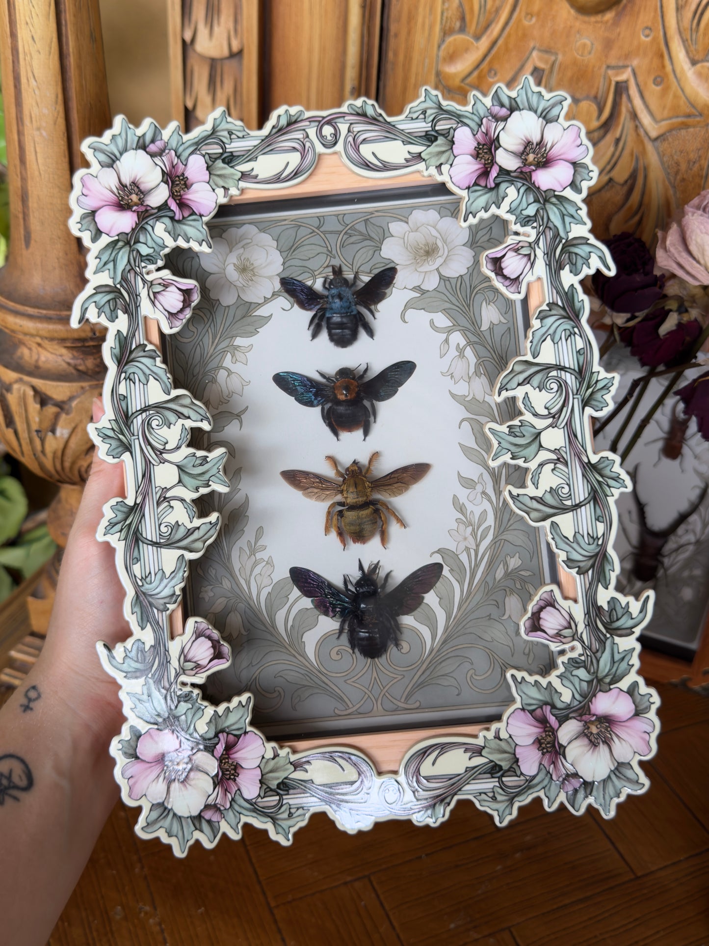 Quad Carpenter Bee Framed Specimens - names in description