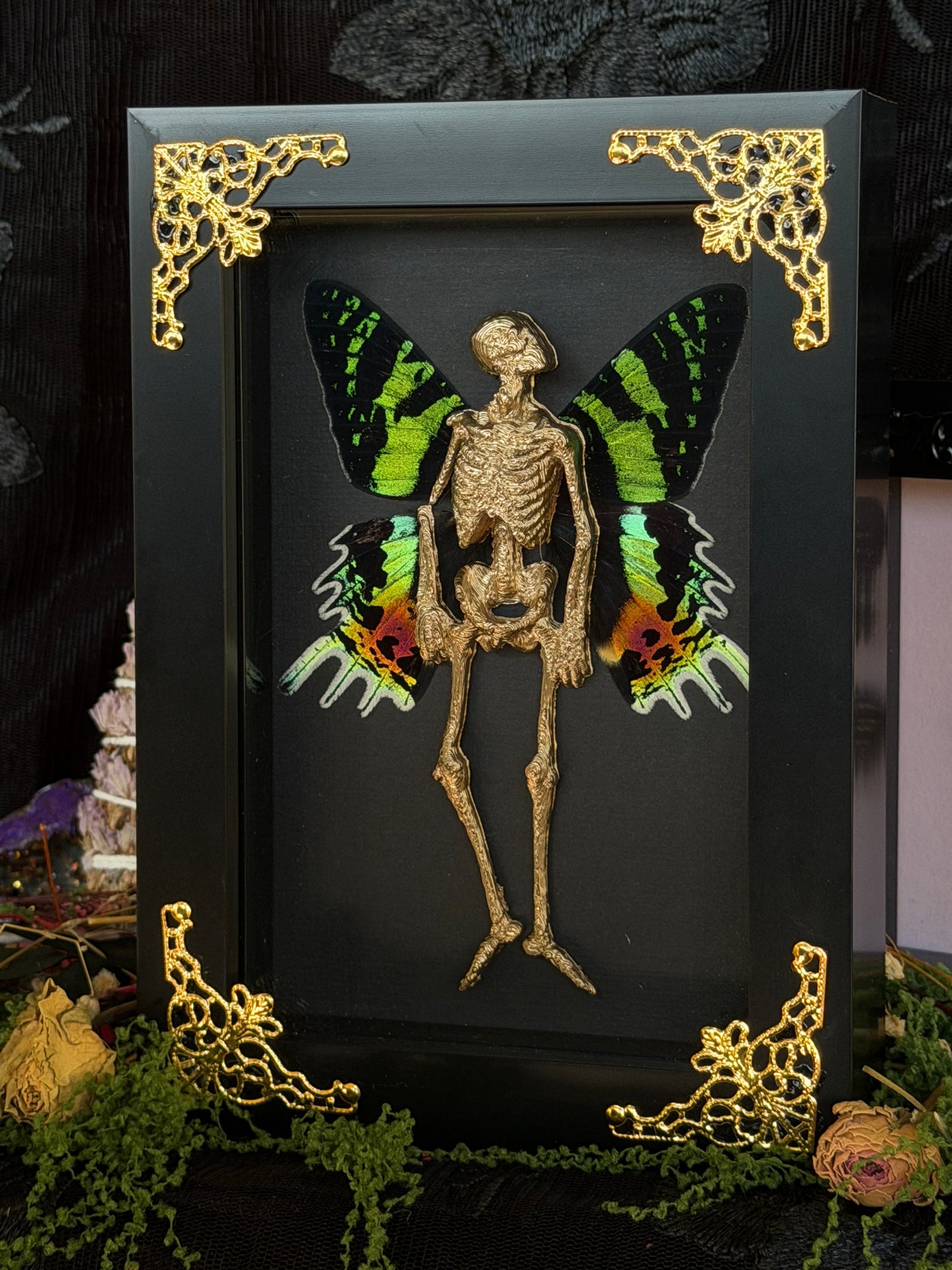 IRIS FAIRY - Mother of Hades Dead Fairy Frame