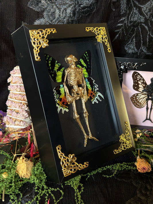 IRIS FAIRY - Mother of Hades Dead Fairy Frame