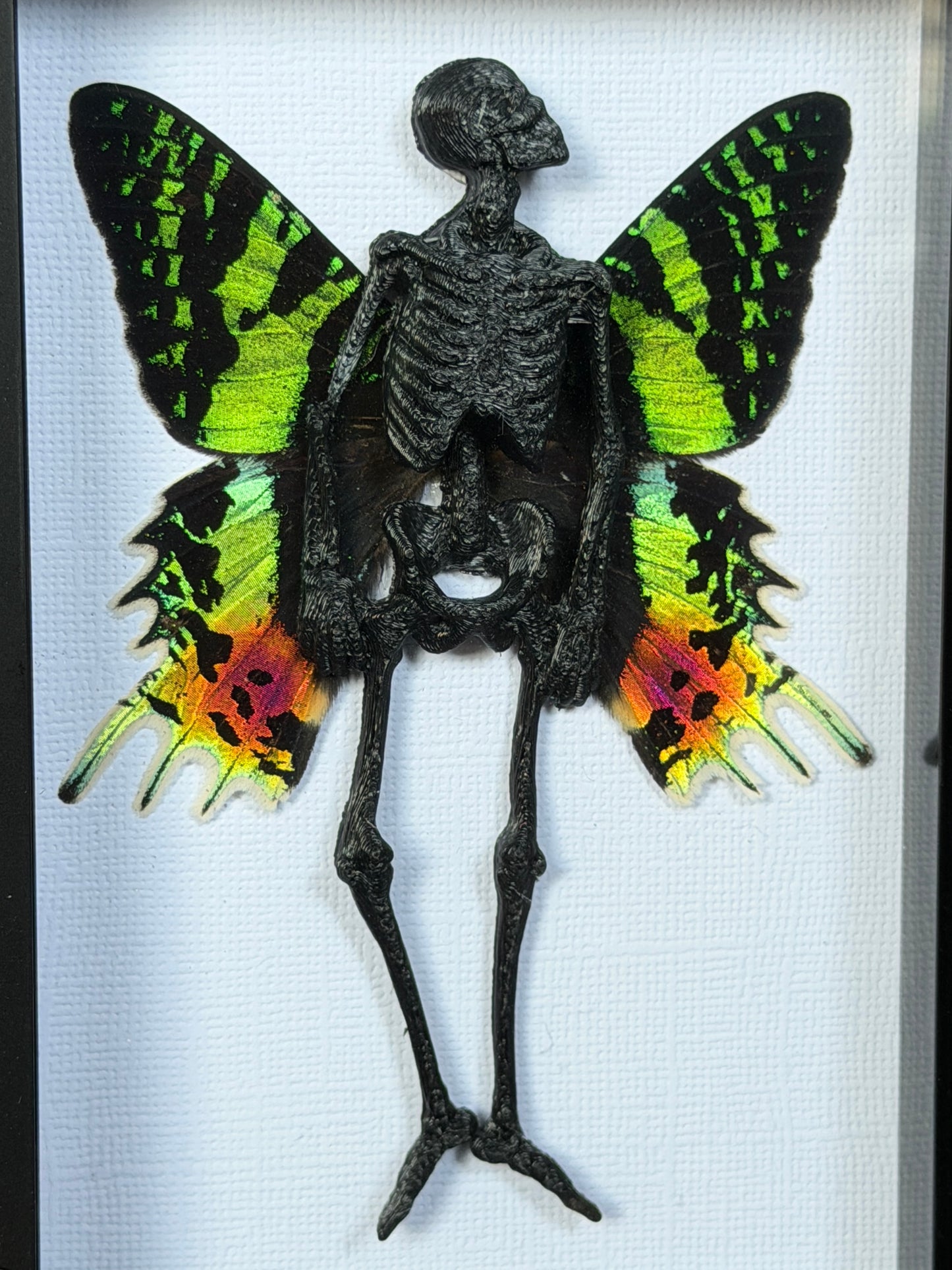 NOIR SUNSET MOTH FAIRY - Mother of Hades Dead Fairy Collection