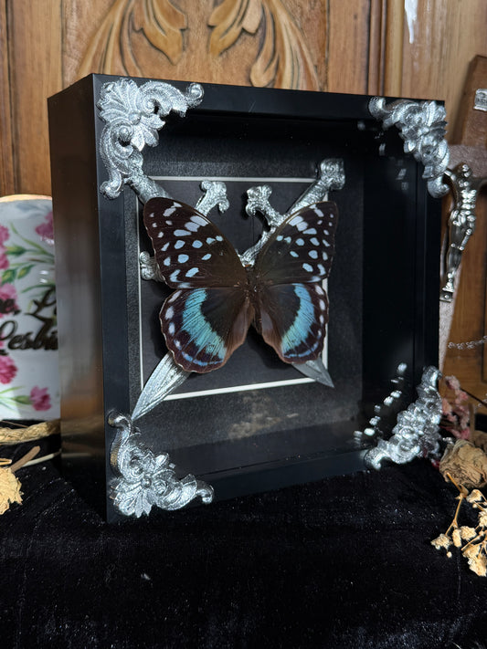 BLUE KNIGHT - Blue Butterfly Frame with Swords