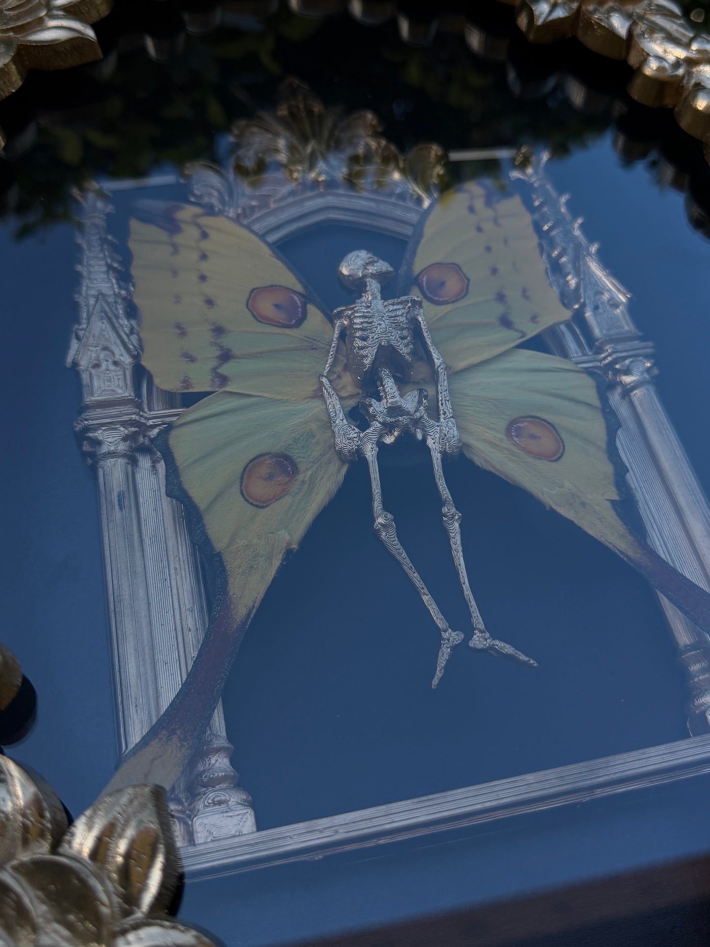 GOLD COMET MOTH MAUSOLEUM - Mother of Hades Dead Fairy Frame