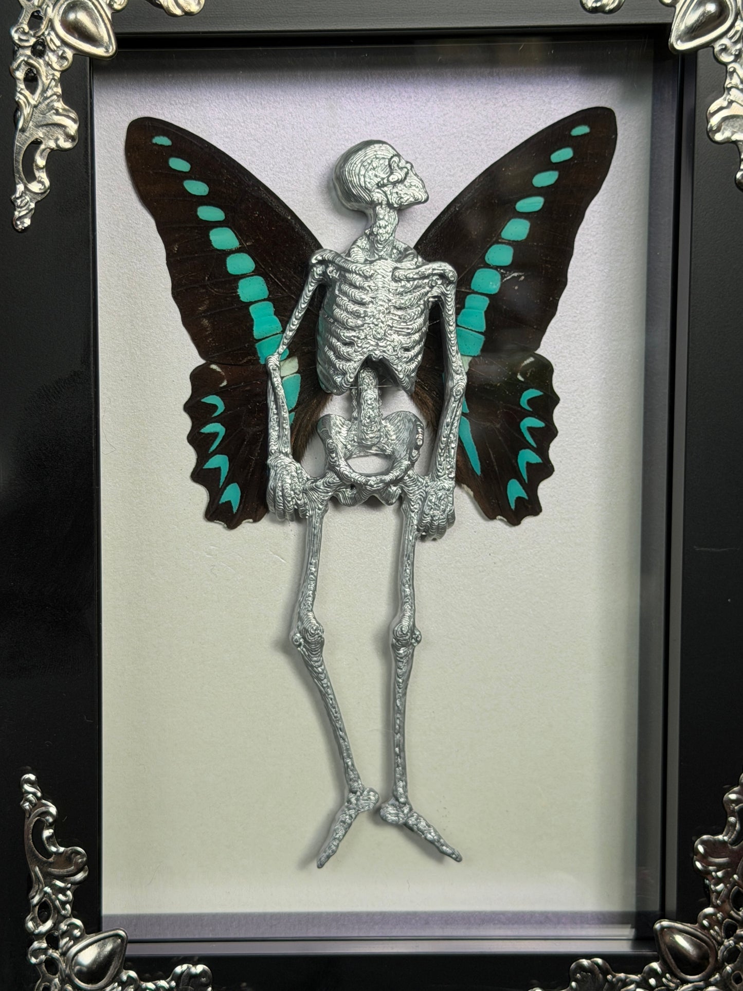 MILON’S SWALLOWTAIL FAIRY - Mother of Hades Dead Fairy Frame
