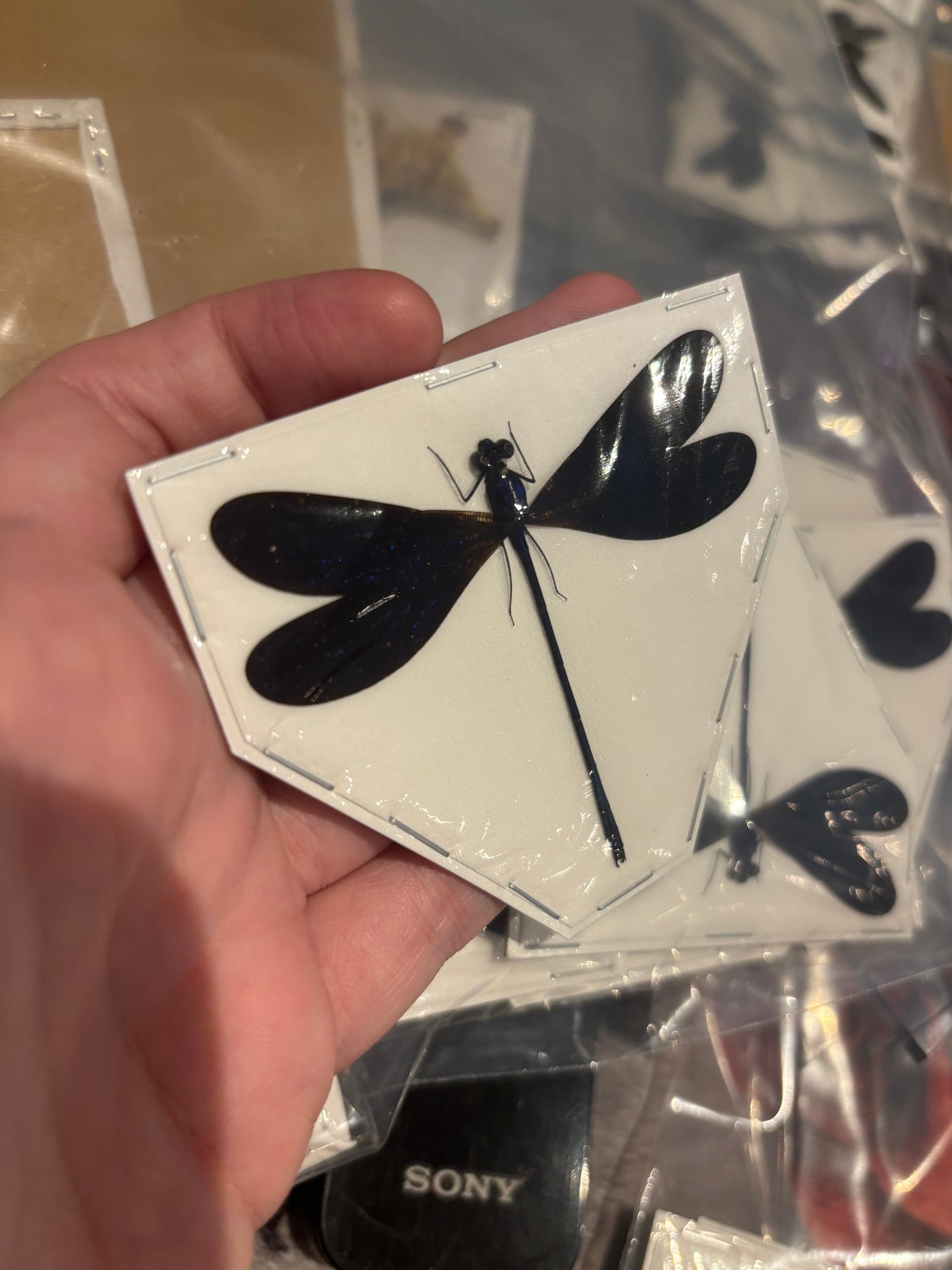 Nila flashwing Damselfly- Vestalis luctuosa