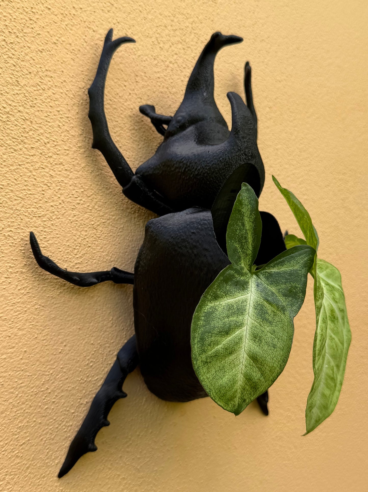 Black Rhino beetle-shaped wall art with a plant on a beige background