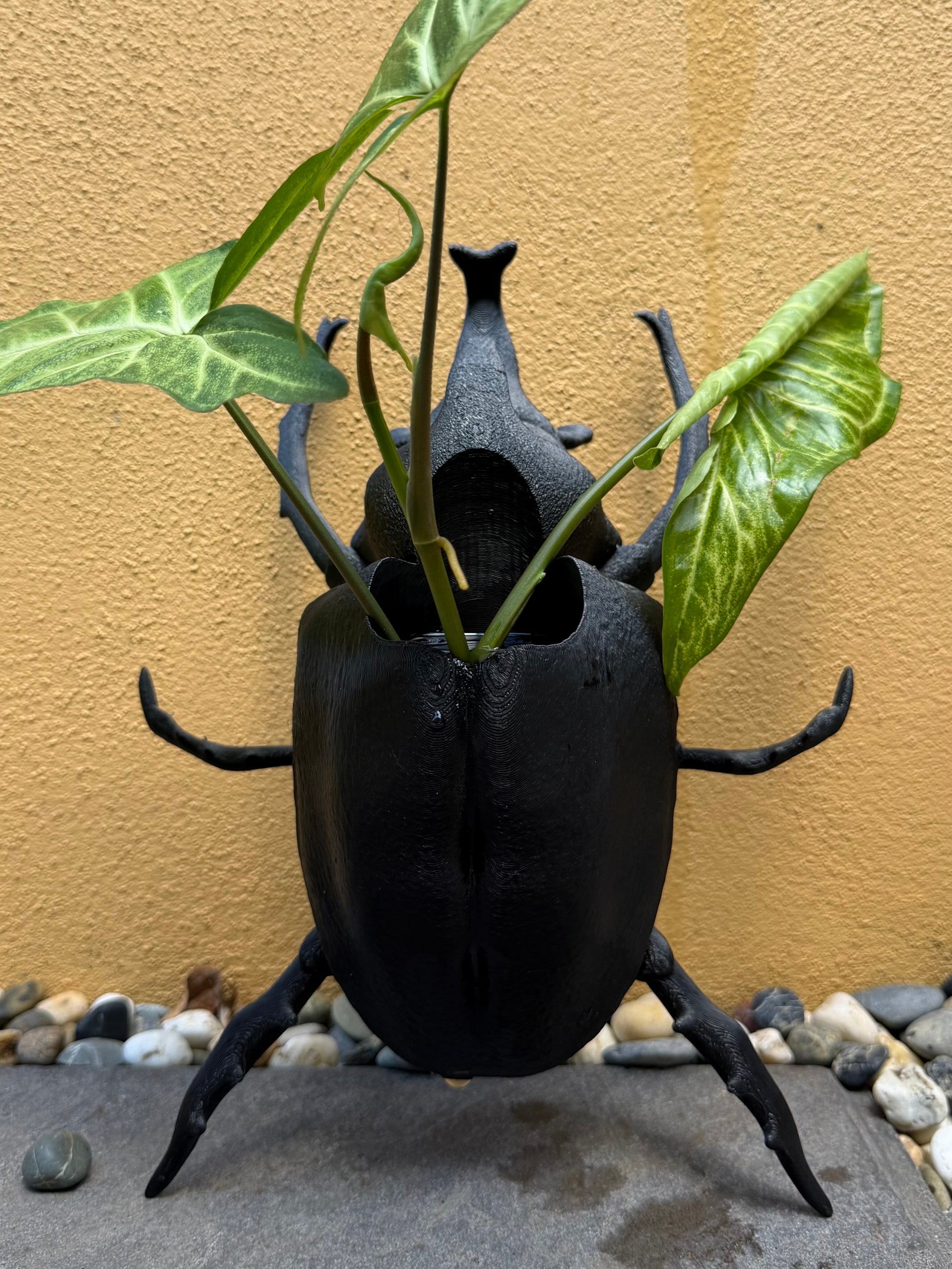 Black beetle-shaped planter with green plant against a beige wall