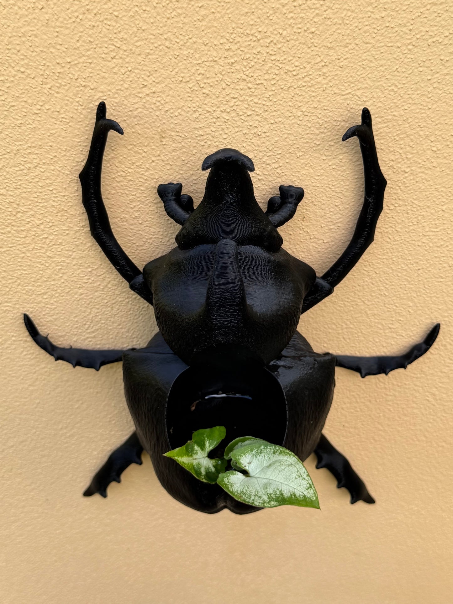 Black beetle wall art from above with a green leaf on a beige background