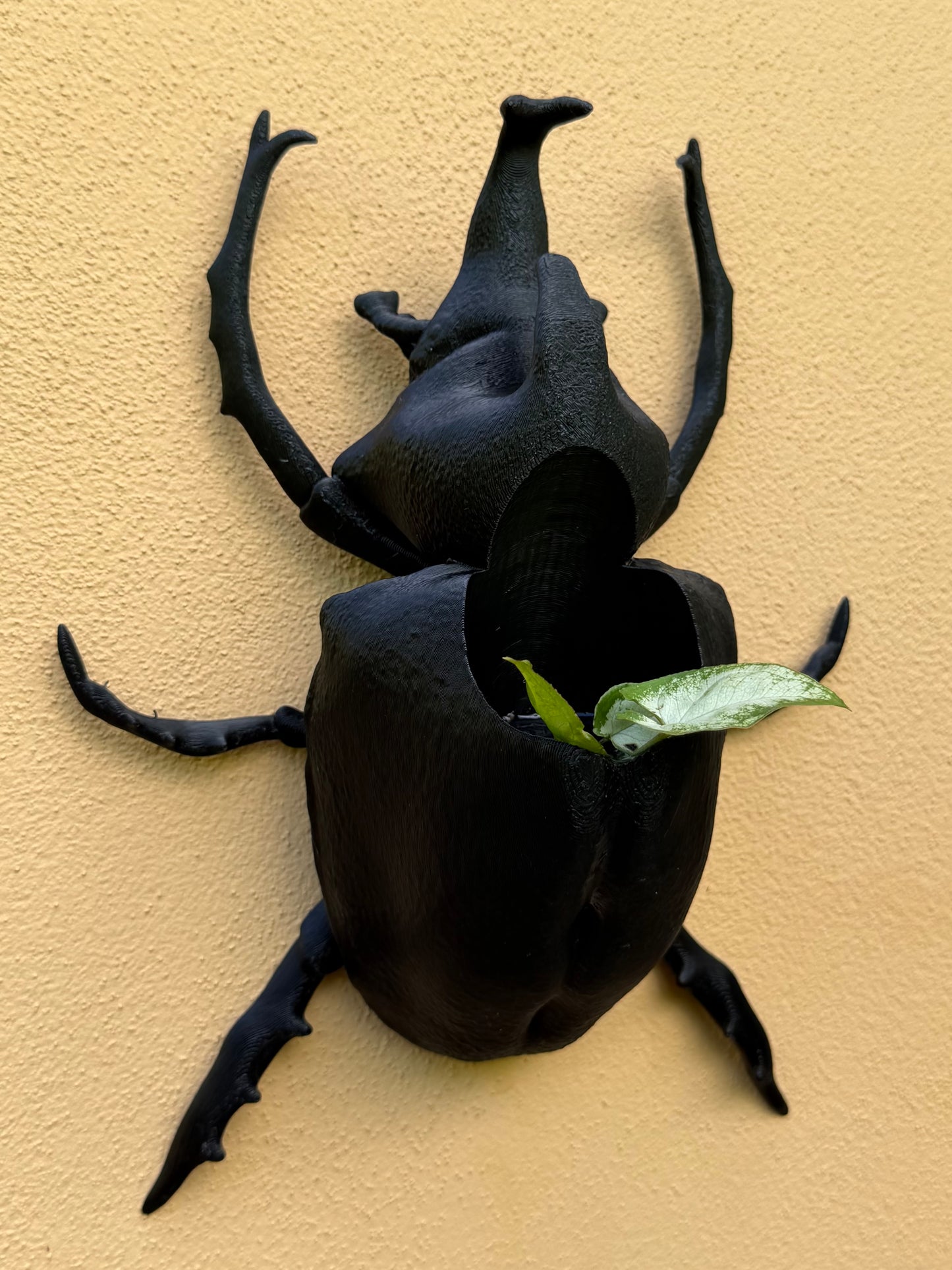 Black beetle-shaped planter with leaves on a beige wall